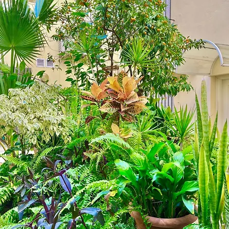 Apartament Side Heaven
